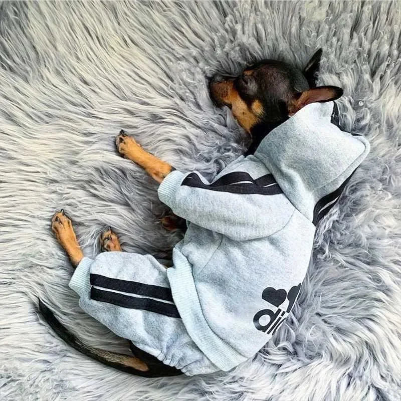 Adidog Clothes β Dog Jumpsuit Hoodie Sweatshirt