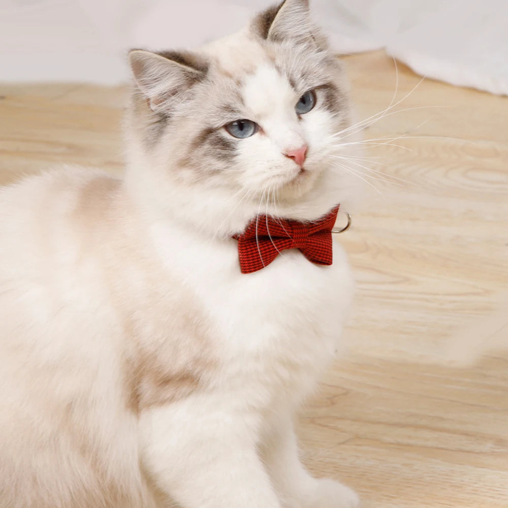 Adjustable Cat Collar with Bow Tie