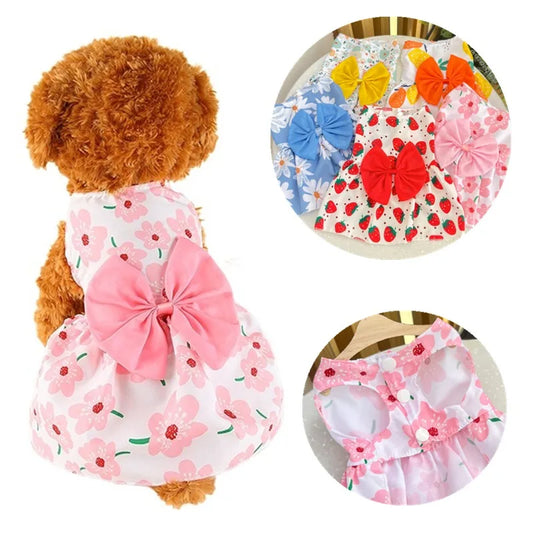 فستان الأميرة للكلاب في الربيع والصيف - تنورة دانتيل لطيفة مع فيونكة للجراء 👗🐶