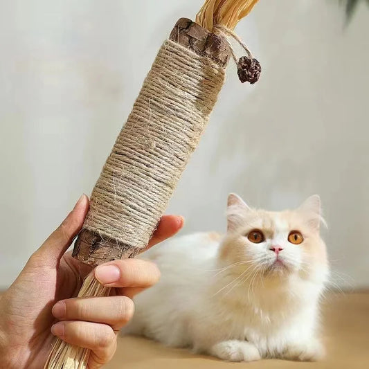 ألعاب النعناع البري للقطط - عصا الوجبات الخفيفة الطبيعية للقطط من ماتاتابي 🐱🌿